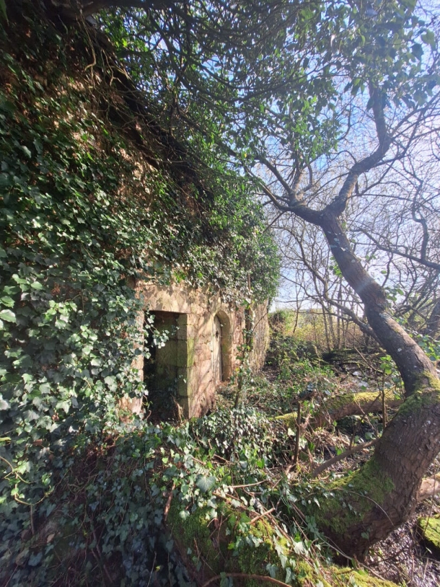 0 m² land for sale in Côtes-d'Armor, Brittany, France - FrenchPropertyPortal.com
Non-constructible plot with ruined stone building, for garden or leisure area
for sale for 9,000€ in Côtes-d'Armor, Brittany
