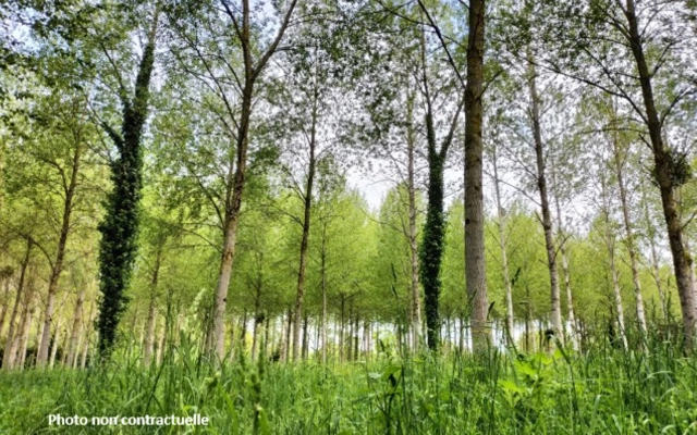 0 m² land for sale in Côtes-d'Armor, Brittany, France - FrenchPropertyPortal.com
wooded land Megrit 11740 m2
for sale for 14,000€ in Côtes-d'Armor, Brittany