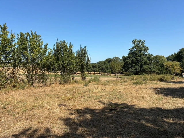 0 m² land for sale in Côtes-d'Armor, Brittany, France - FrenchPropertyPortal.com
Land in Jugon Les Lacs, 1595 m2
for sale for 96,500€ in Côtes-d'Armor, Brittany