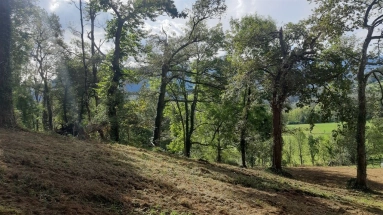 0 m² land for sale in Pyrénées-Atlantiques, Aquitaine, France - FrenchPropertyPortal.com Constructible land in exceptional setting for sale for 108,000€ in Pyrénées-Atlantiques, Aquitaine