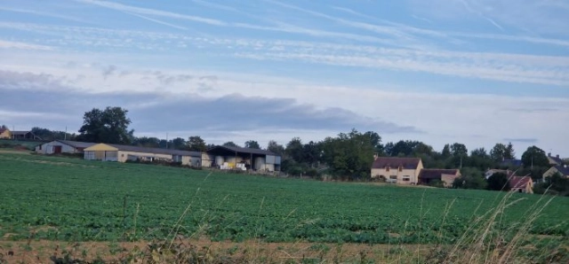 Farm with 3 bedroom home and 67 hectares for sale for 945,000€ in Creuse, Limousin