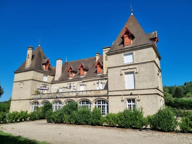 Magnificent château apartment with terrace of 37 m2 and swimming pool for sale for 360,800&euro; in Allier, Auvergne