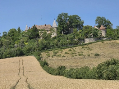 Magnificent chateau with outbuildings on 2,5 ha with beautiful views for sale for 790,000&euro; in Allier, Auvergne