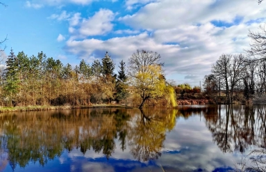 Exceptional Estate on 6.3 Hectares with Ponds and Unspoiled Nature for sale for 469,500&euro; in Allier, Auvergne