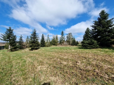 0 m² land for sale in Gironde, Aquitaine, France - FrenchPropertyPortal.com Spacious building plot with planning permission, close to Monségur for sale for 99,000€ in Gironde, Aquitaine