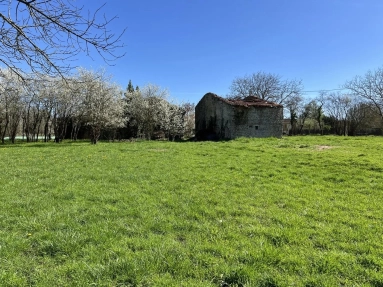 Lovely plot of land with stone outbuildings for sale for 26,000&euro; in Charente, Poitou-Charentes