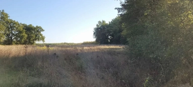 0 m² land for sale in Tarn-et-Garonne, Midi-Pyrénées, France - FrenchPropertyPortal.com Building plot with woodland Montaigu-de-Quercy for sale for 45,000€ in Tarn-et-Garonne, Midi-Pyrénées