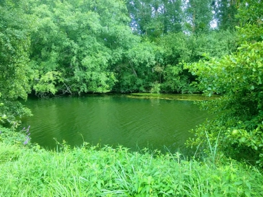 Leisure land of 2000m2 with river frontage for sale for 17,000&euro; in Charente, Poitou-Charentes