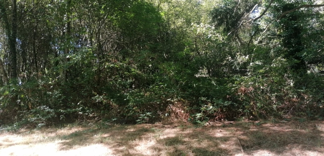 0 m² land for sale in Dordogne, Aquitaine, France - FrenchPropertyPortal.com Fenced 1810 m² plot for sale in Piégut-Pluviers for sale for 15,500€ in Dordogne, Aquitaine