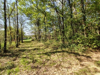 0 m² land for sale in Dordogne, Aquitaine, France - FrenchPropertyPortal.com Building plot with woodland plot for sale for 44,000€ in Dordogne, Aquitaine
