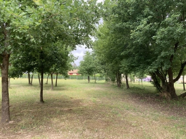 0 m² land for sale in Dordogne, Aquitaine, France - FrenchPropertyPortal.com Building plot near Saint Aulaye for sale for 41,000€ in Dordogne, Aquitaine