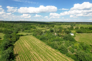 Uzes Area for sale for 720,000&euro; in Gard, Languedoc-Roussillon