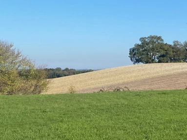 3,275m² land for sale in Lot-et-Garonne, Aquitaine, France - FrenchPropertyPortal.com Constructable land with 3275 m² with C.U Permit close to Lauzun. for sale for 40,000€ in Lot-et-Garonne, Aquitaine