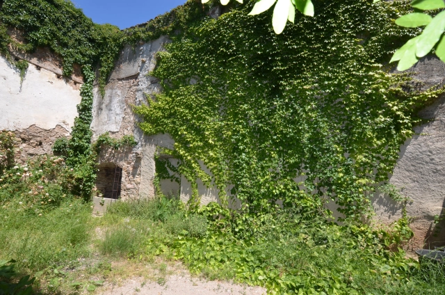Renovation Project for sale for 42,000&euro; in Aude, Languedoc-Roussillon