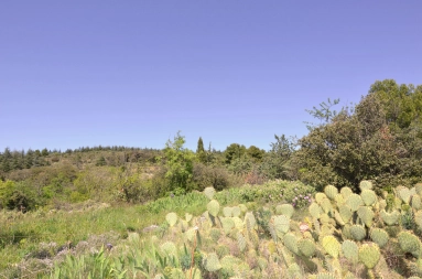 Building land with view to the Pyrenees for sale for 79,000&euro; in Hérault, Languedoc-Roussillon