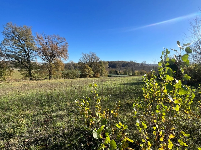 0 m² land for sale in Lot-et-Garonne, Aquitaine, France - FrenchPropertyPortal.com Building plot in the countryside for sale for 25,000€ in Lot-et-Garonne, Aquitaine